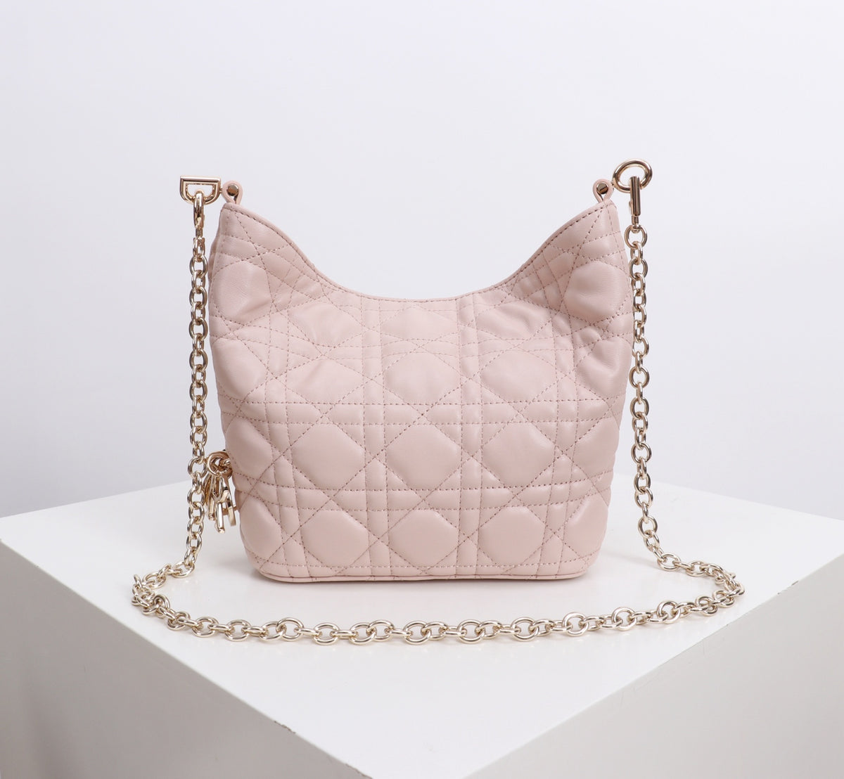 Dior Jonathan Anderson Mini Lotus Pink Gold Hardware 1538S