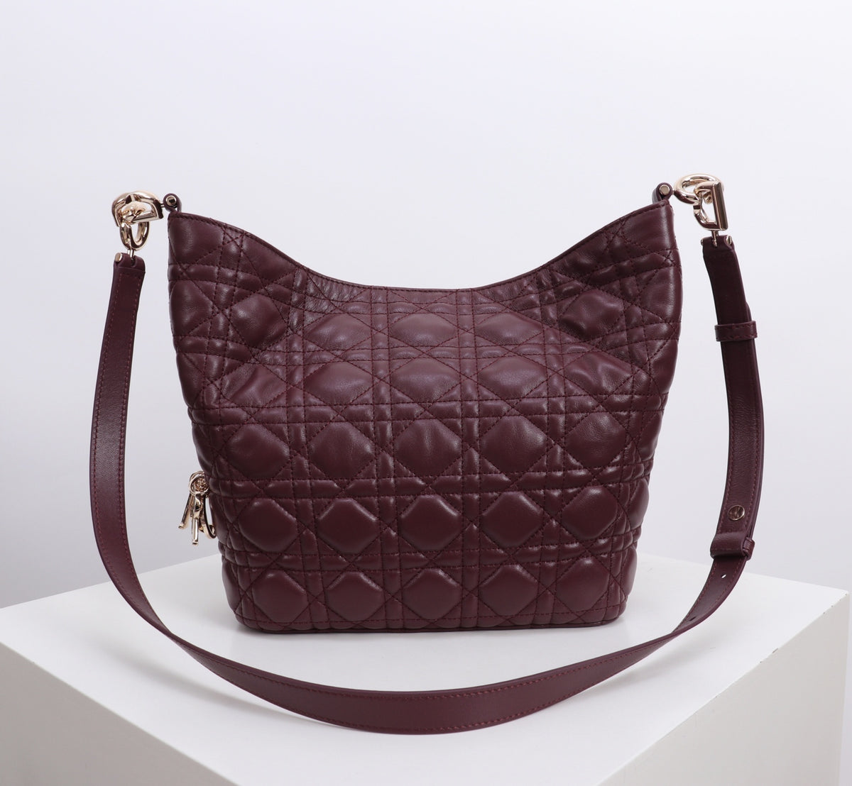 Dior Jonathan Anderson Wine Red Gold Hardware 1538