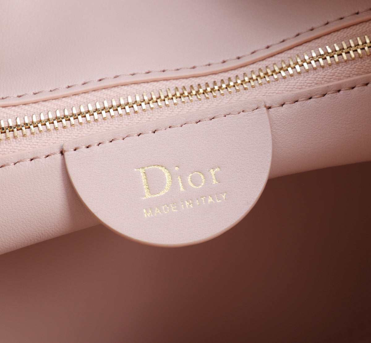 Dior Jonathan Anderson Lotus Pink Gold Hardware 1538