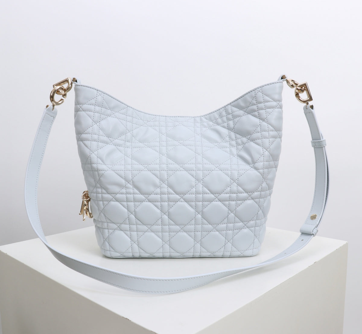 Dior Jonathan Anderson Sky Blue Gold Hardware 1538