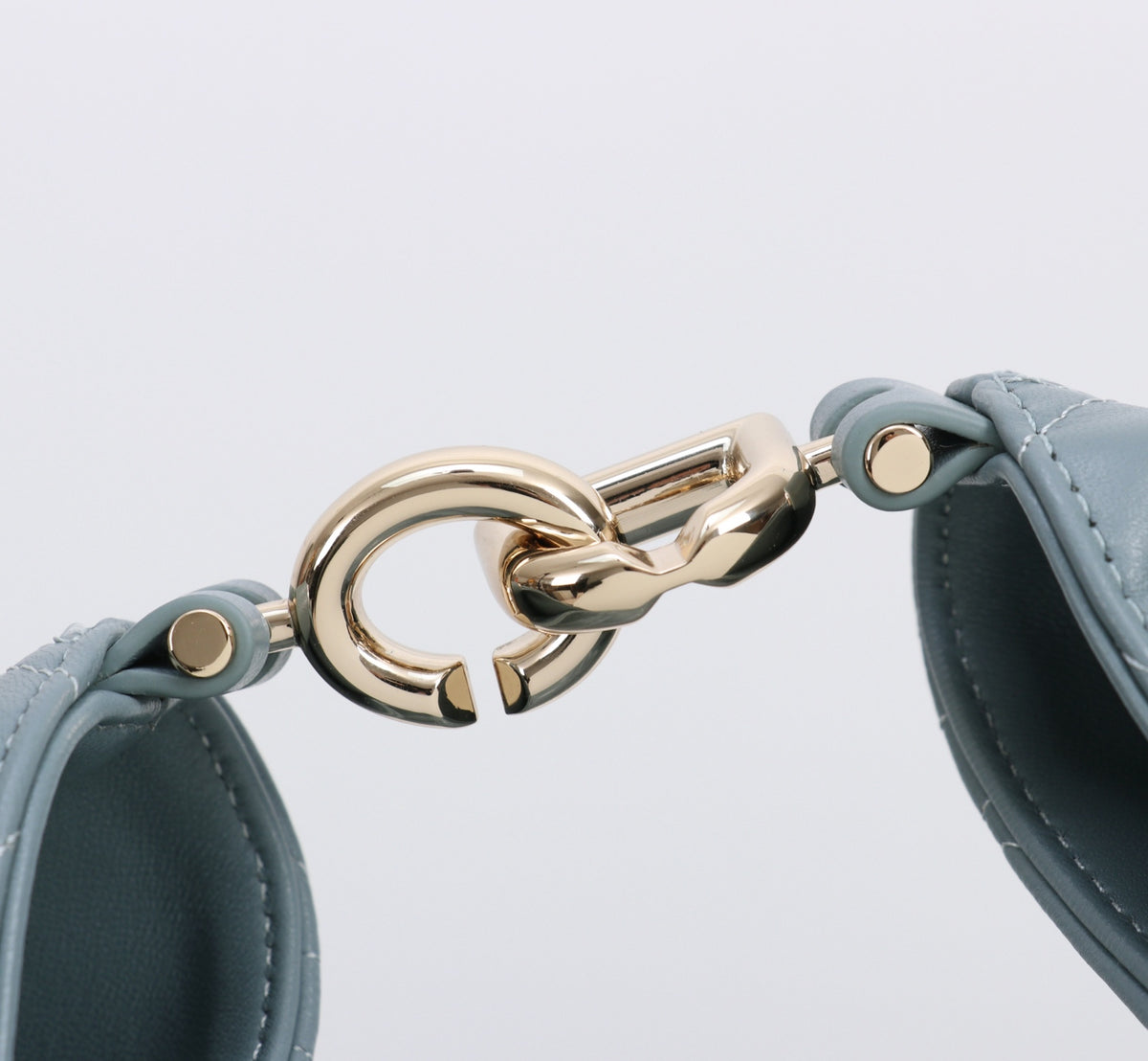 Dior Jonathan Anderson Army Green Blue Gold Hardware 1538