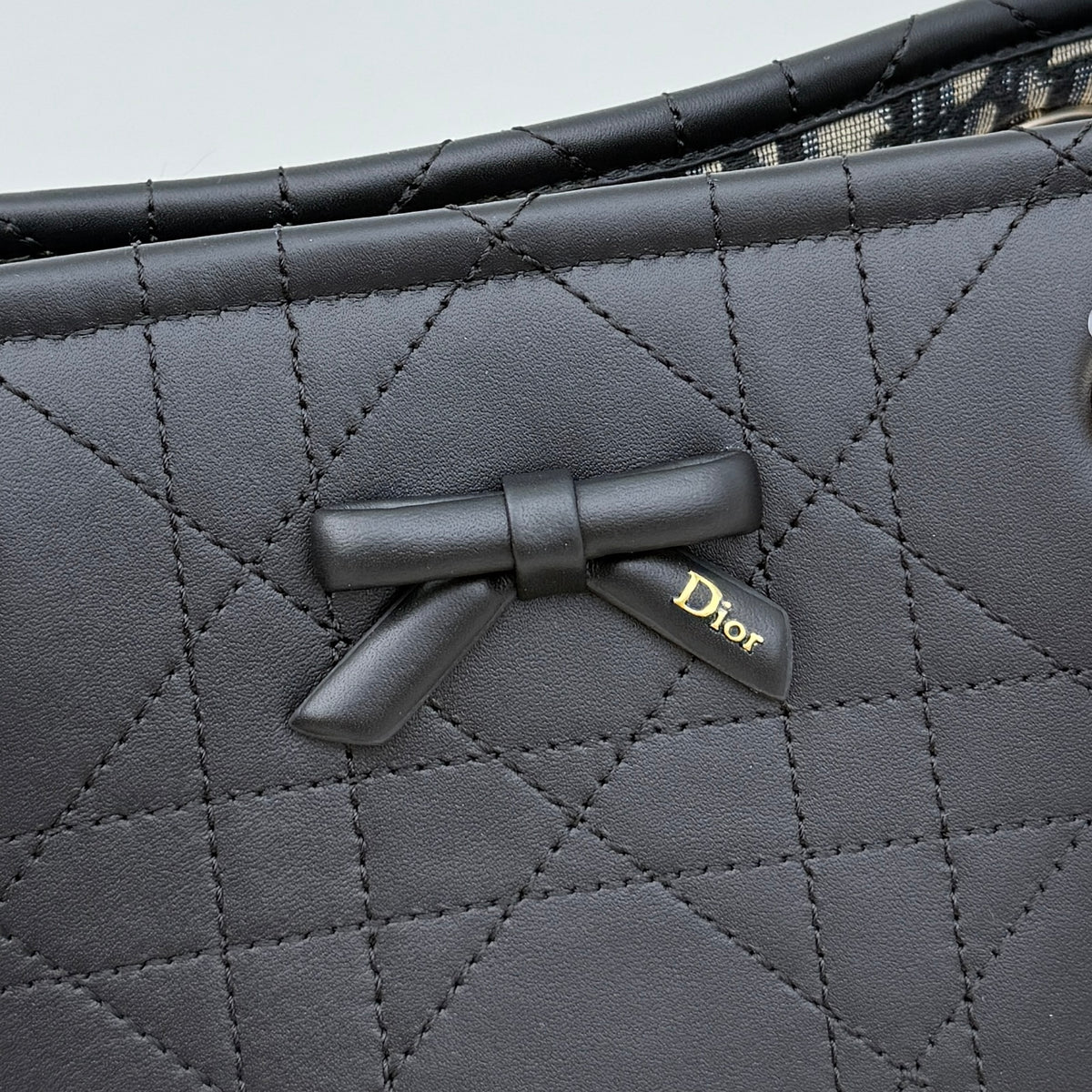 Dior Small Promenade Shopping Bag Black M1410