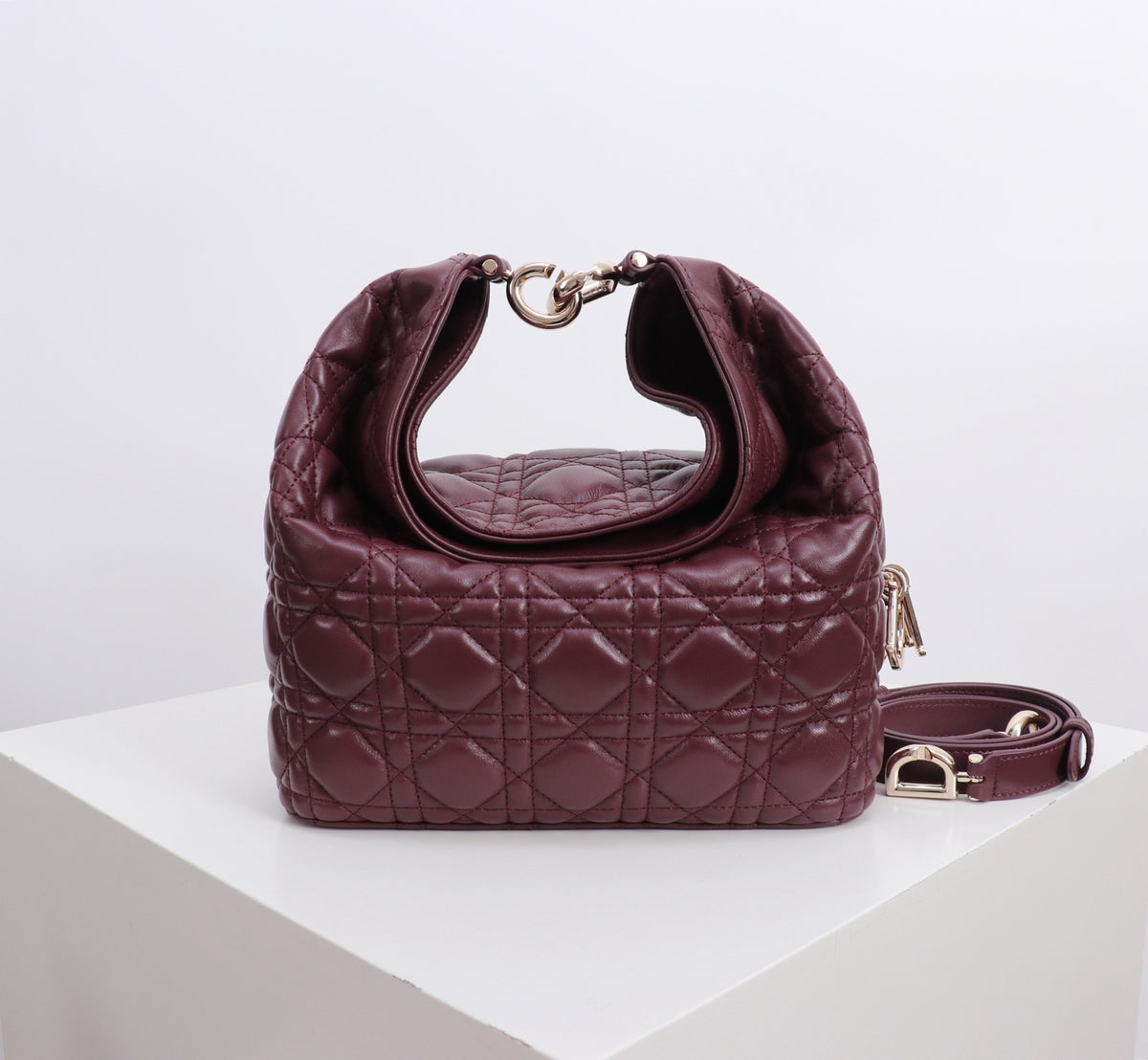 Dior Jonathan Anderson Wine Red Gold Hardware 1538