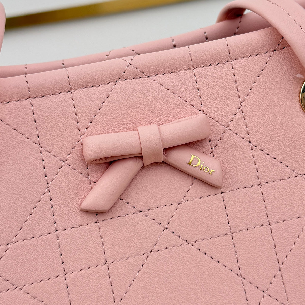 Dior Small Promenade Shopping Bag Pink M1410