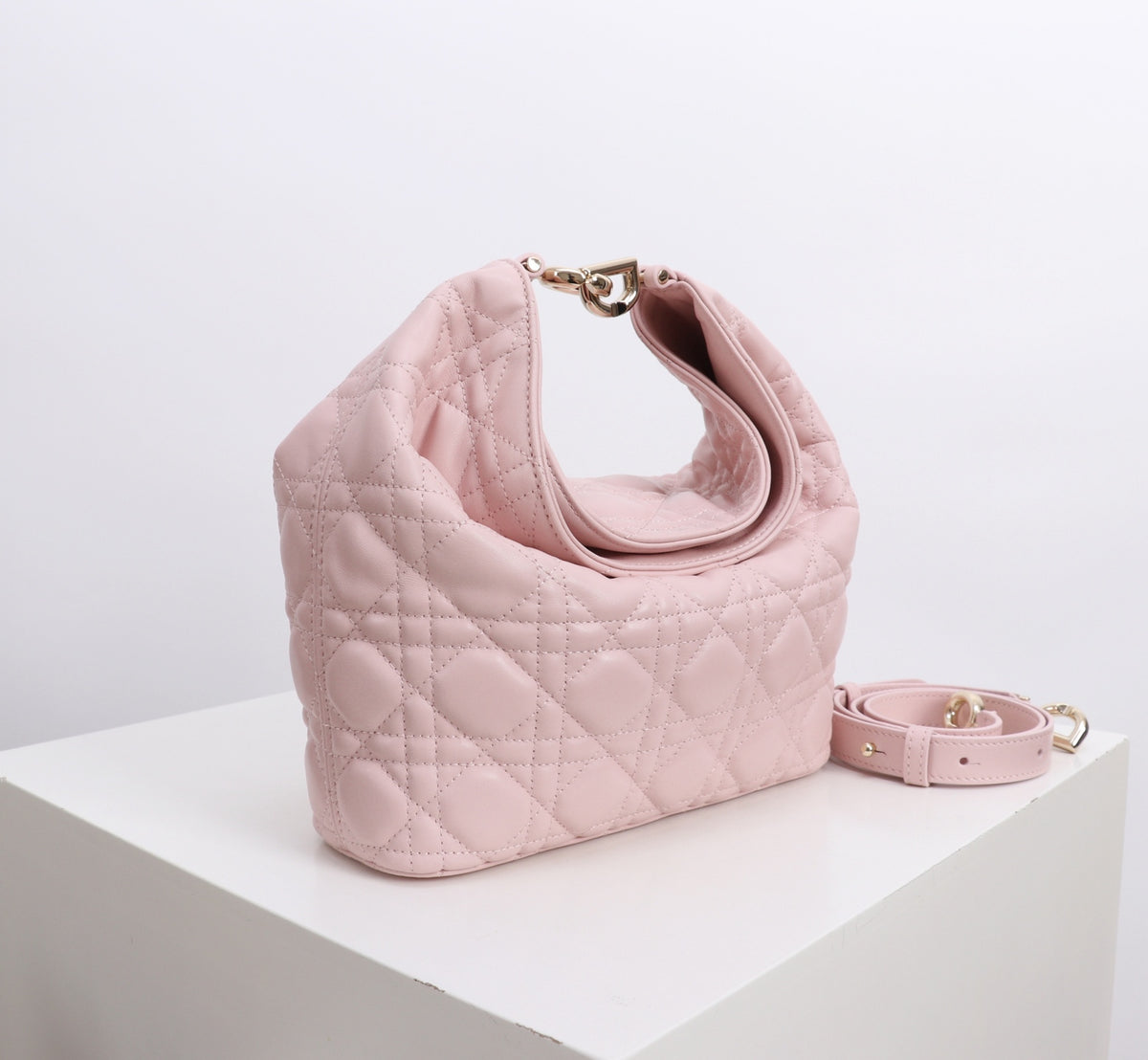 Dior Jonathan Anderson Cherry Blossom Pink Gold Hardware 1538