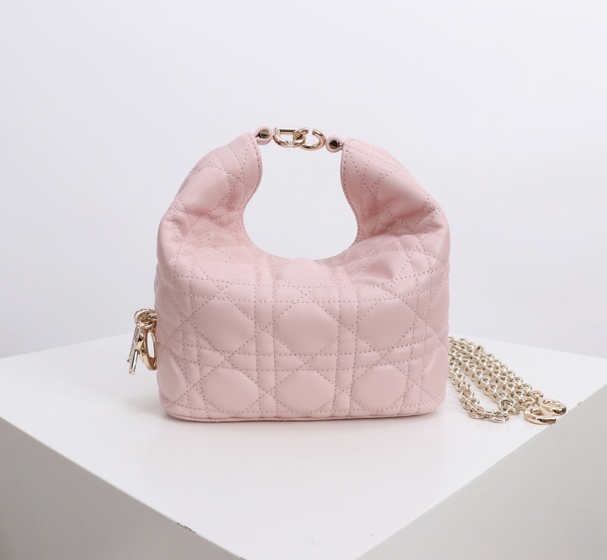 Dior Jonathan Anderson Mini Cherry Blossom Pink Gold Hardware 1538S