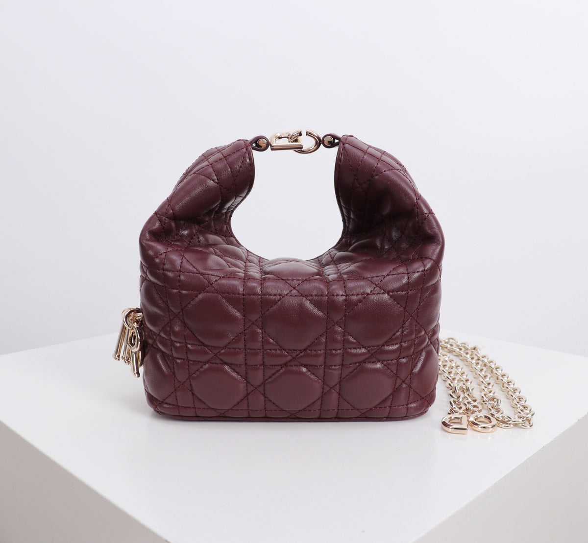 Dior Jonathan Anderson Mini Wine Red Gold Hardware 1538S