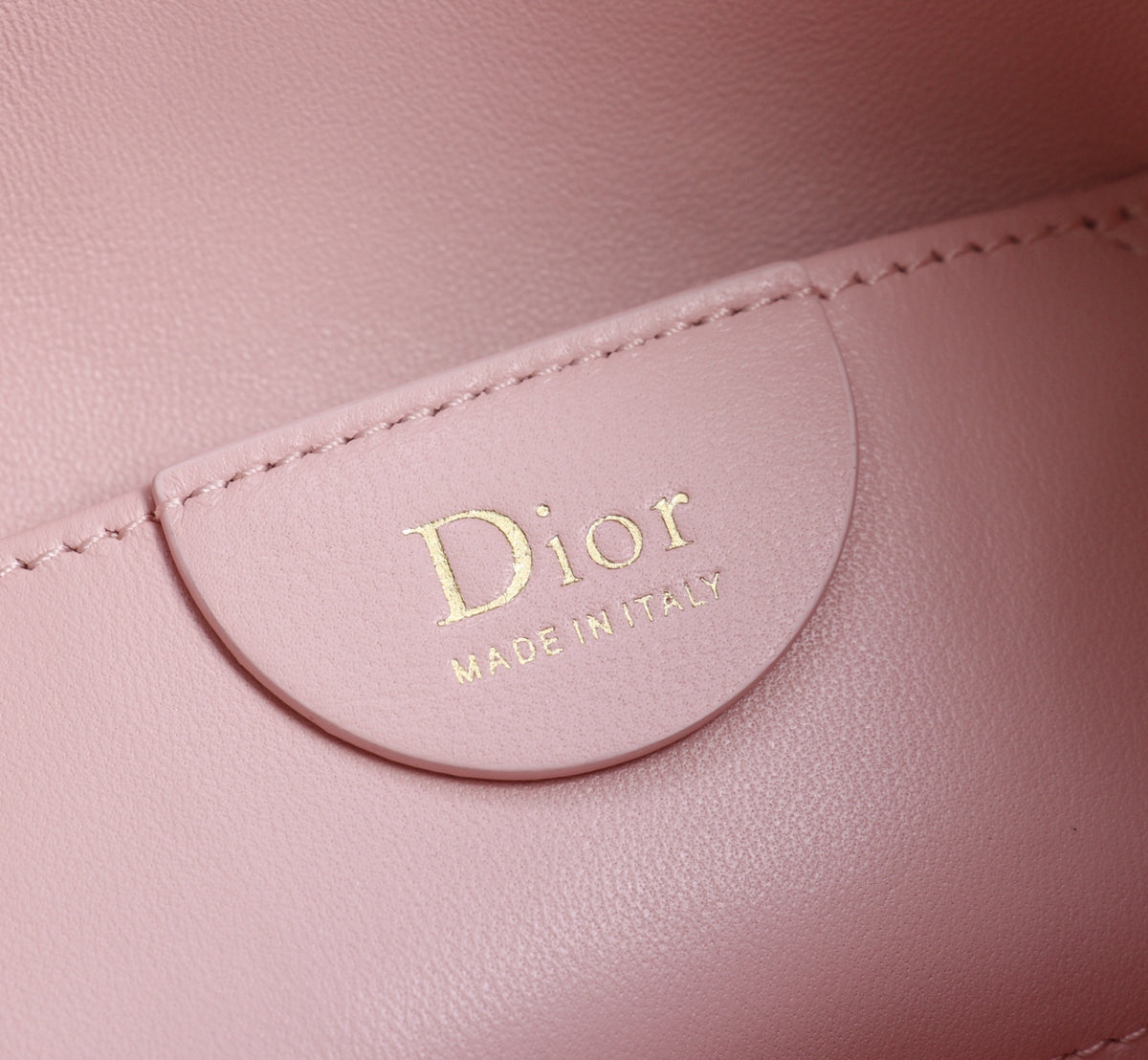 Dior Jonathan Anderson Mini Cherry Blossom Pink Gold Hardware 1538S