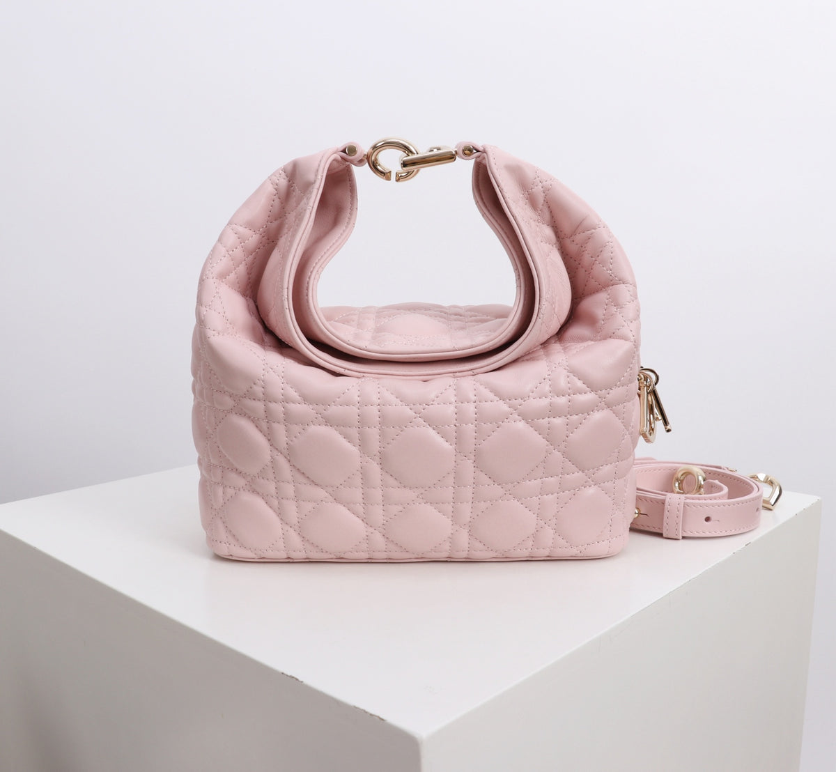 Dior Jonathan Anderson Cherry Blossom Pink Gold Hardware 1538