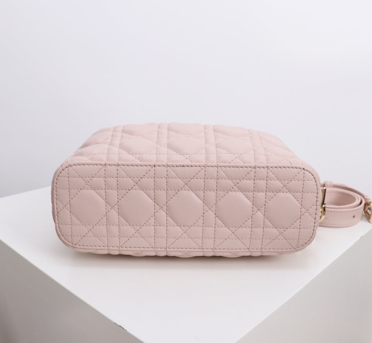Dior Jonathan Anderson Lotus Pink Gold Hardware 1538