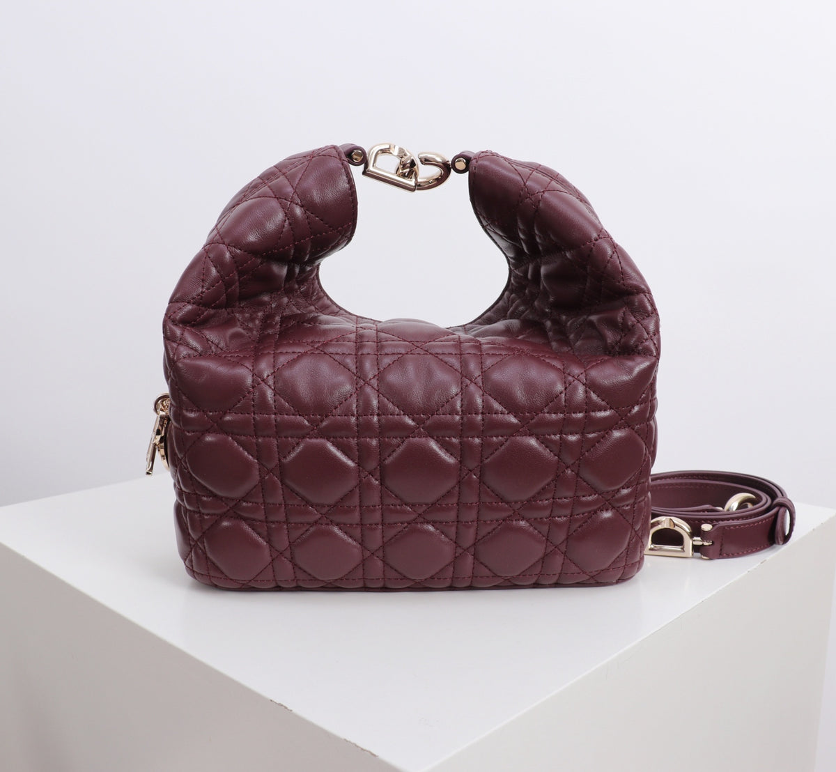 Dior Jonathan Anderson Wine Red Gold Hardware 1538