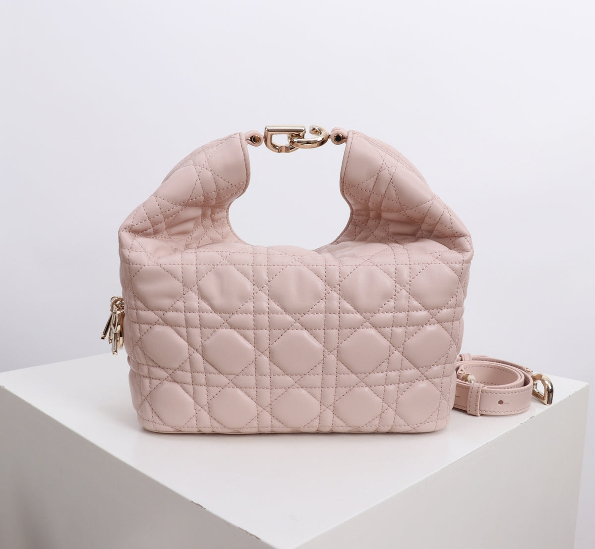 Dior Jonathan Anderson Lotus Pink Gold Hardware 1538
