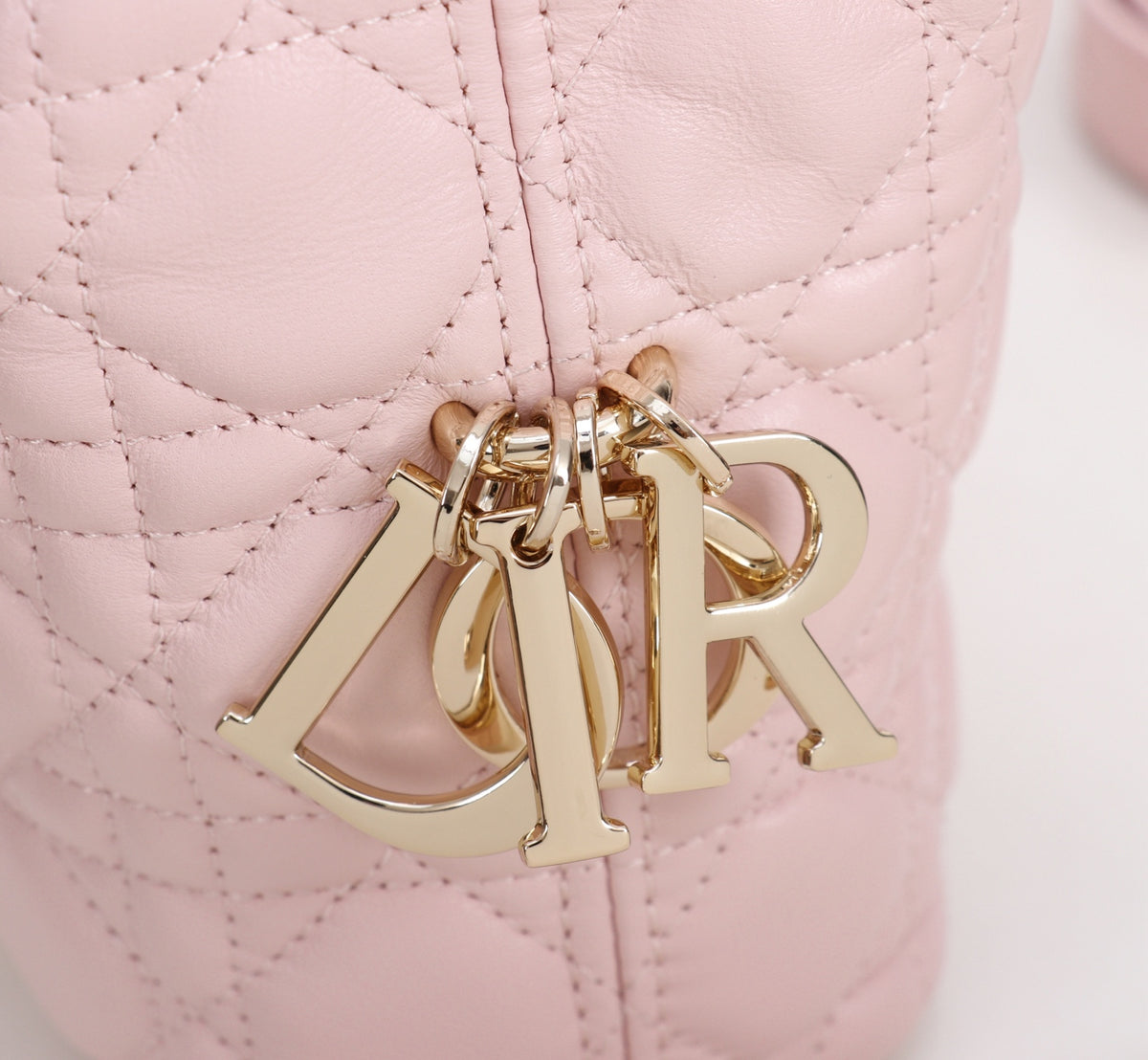 Dior Jonathan Anderson Cherry Blossom Pink Gold Hardware 1538