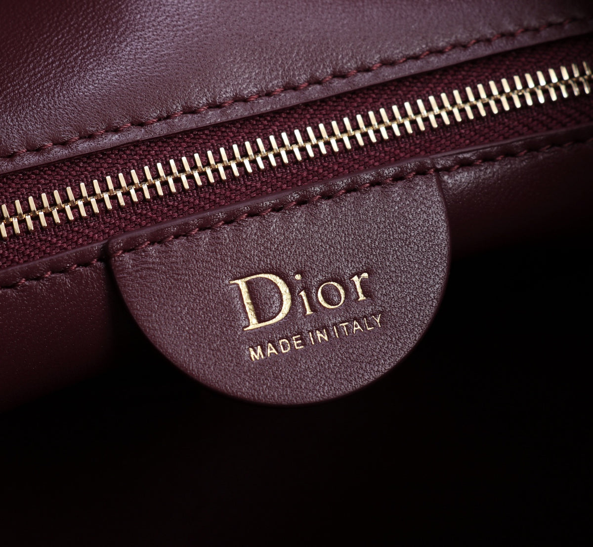 Dior Jonathan Anderson Wine Red Gold Hardware 1538