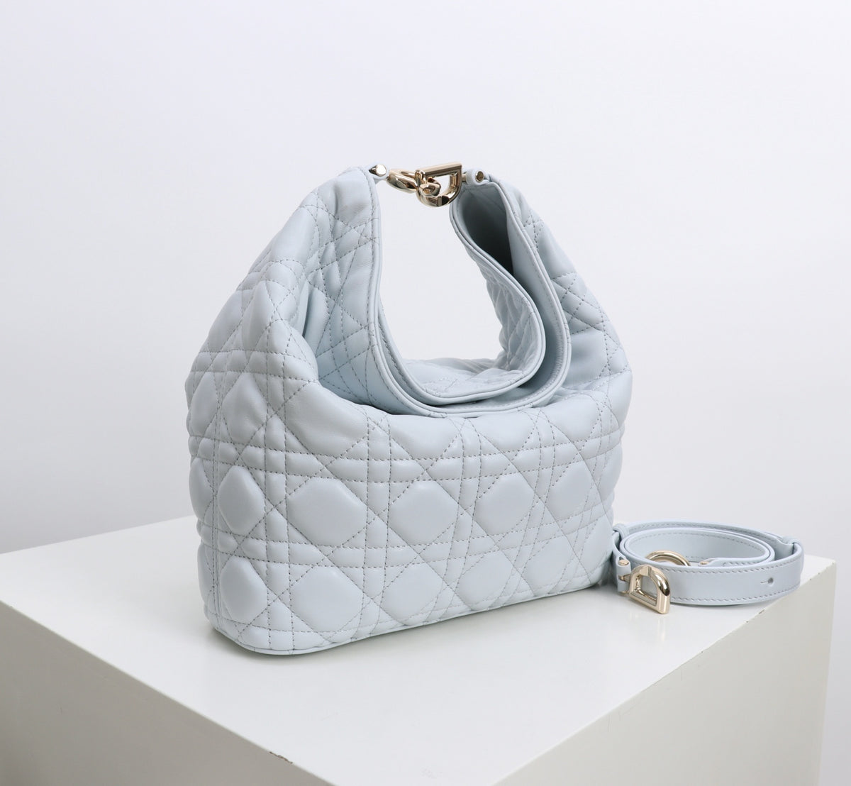 Dior Jonathan Anderson Sky Blue Gold Hardware 1538
