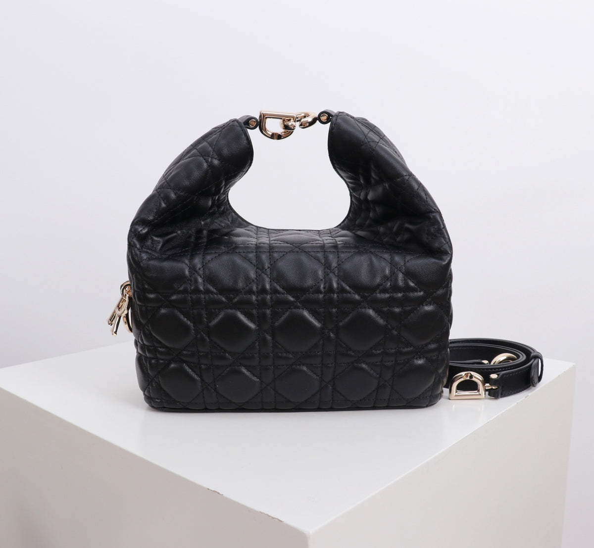 Dior Jonathan Anderson Black Gold Hardware 1538