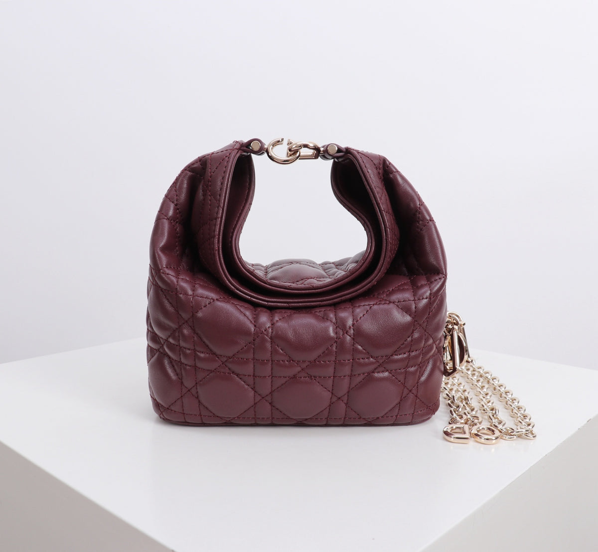 Dior Jonathan Anderson Mini Wine Red Gold Hardware 1538S