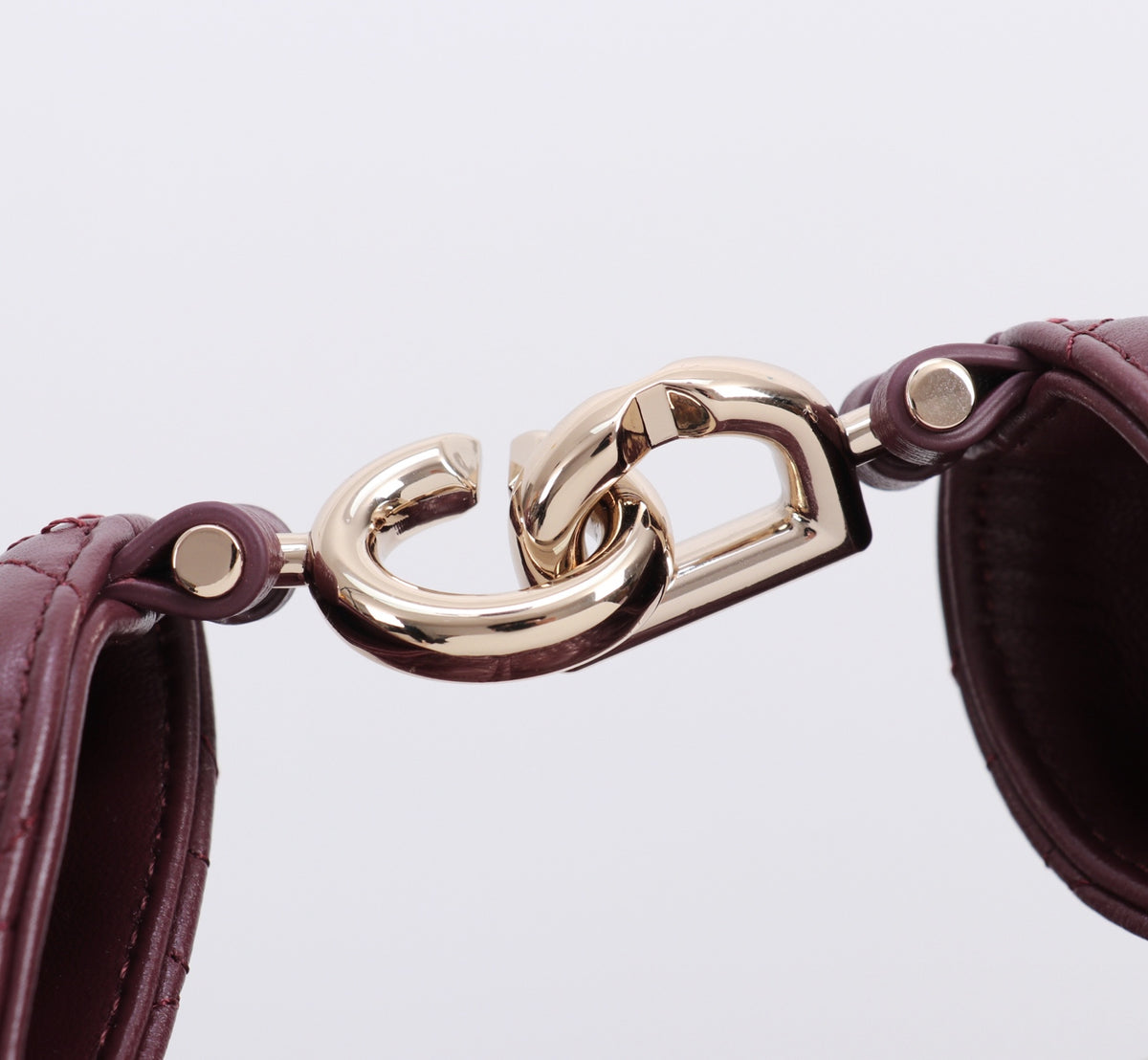 Dior Jonathan Anderson Wine Red Gold Hardware 1538