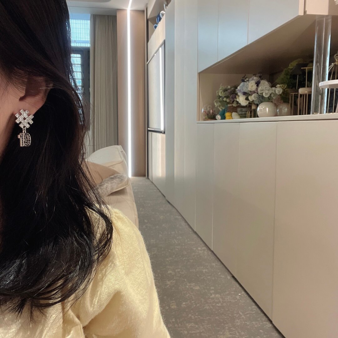 cha zp5500 earrings looks great free shipping