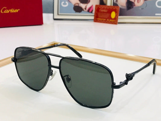 CT Summer New Sunglasses Fashion Trend CT0440S