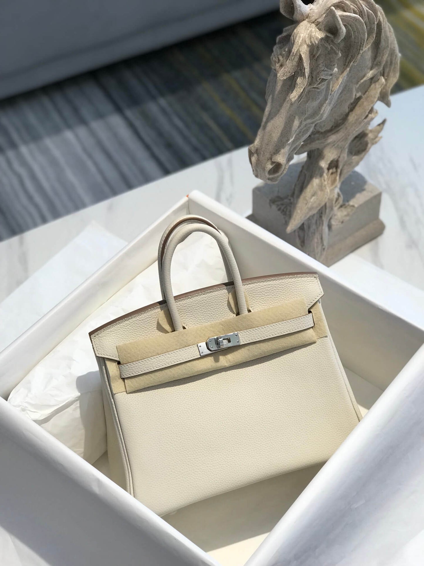 BIRKIN 25 WHITE SILVER