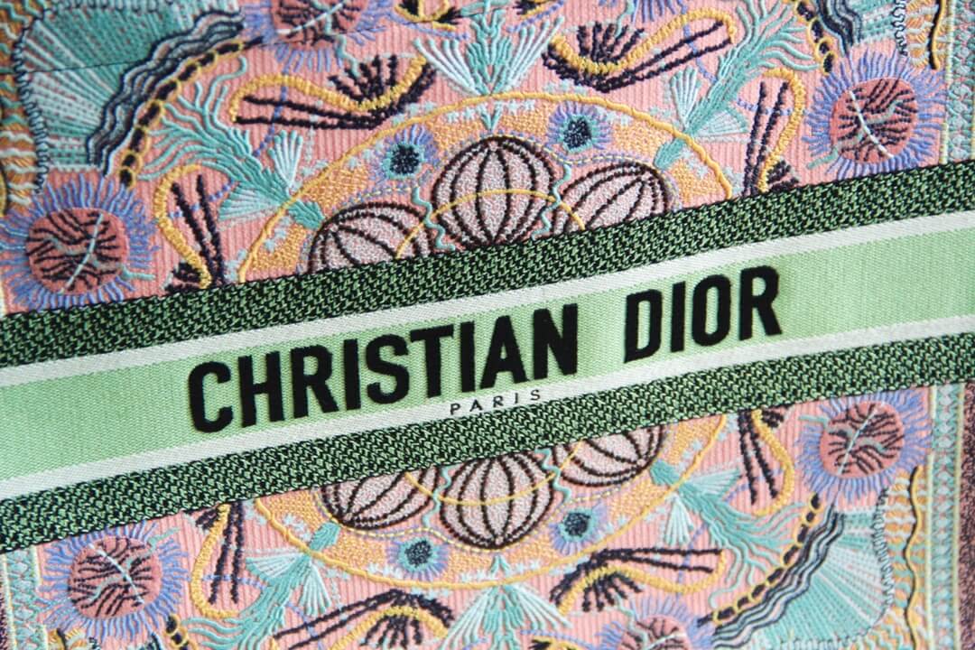 black embroidery christian dior logo green 