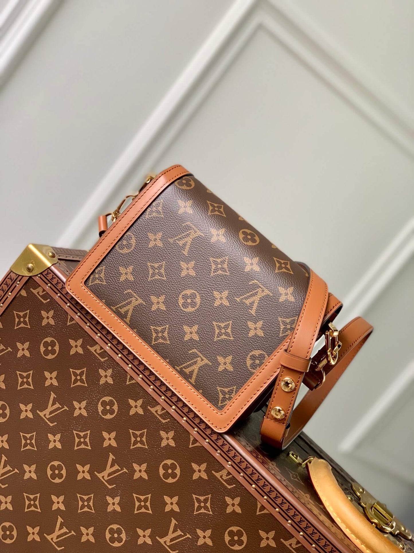 M46537 Mini Dauphine Lock XL Nicolas Ghesquière 20cm COWHIDE/ REAL LEATHER