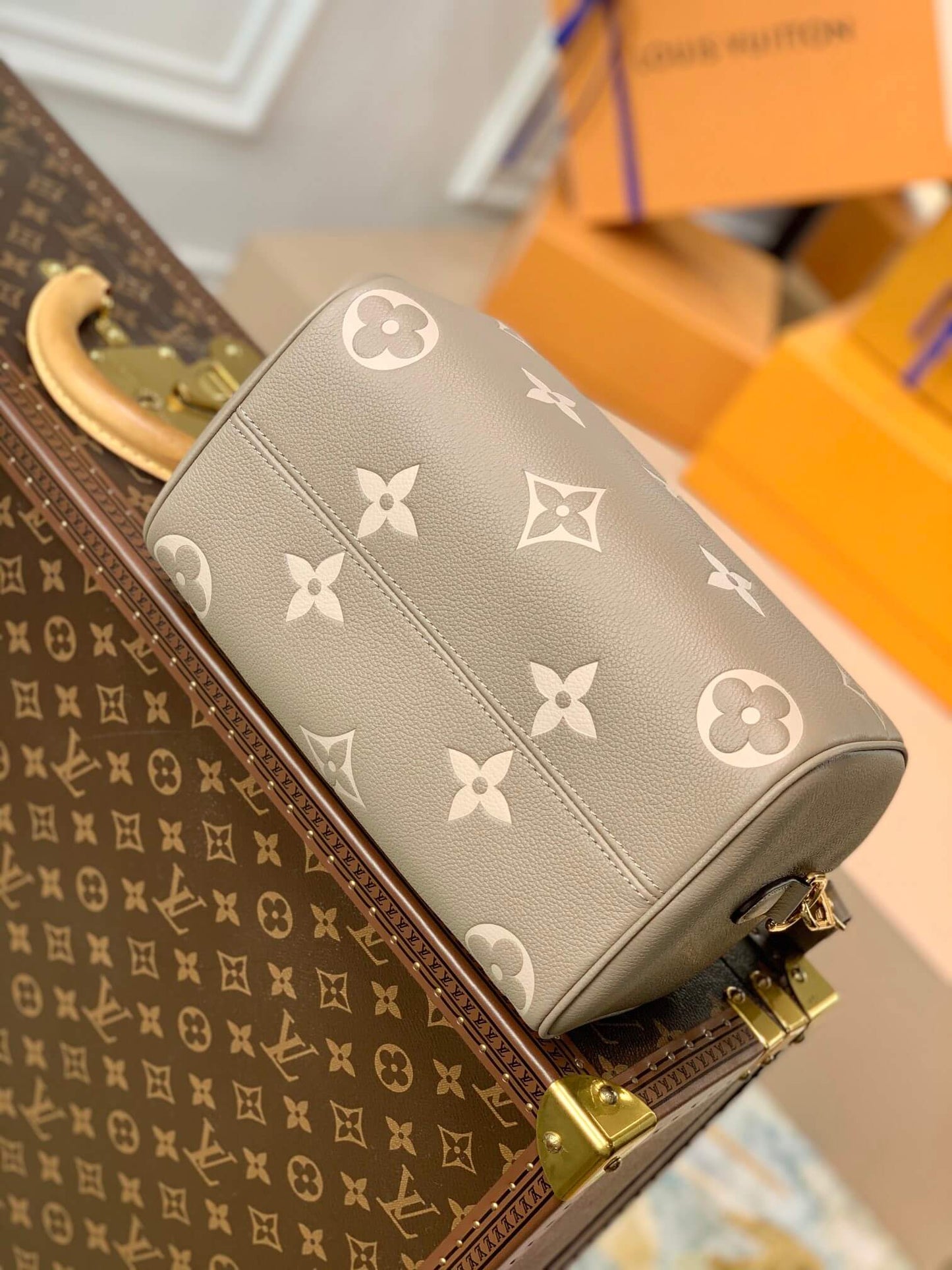 M58947 Speedy Bandoulière 25 Monogram Empreinte grey